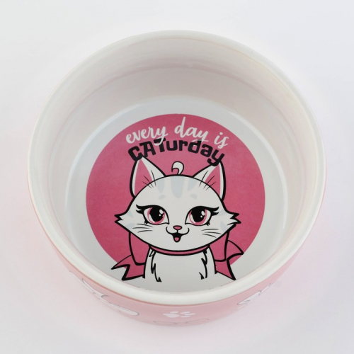 Миска керамическая CATurday, 200 мл, для кошек