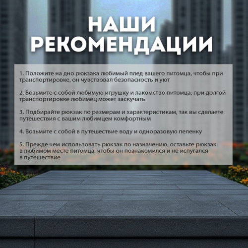 Рюкзак-переноска для кошек и собак, 35 х 30 х 26 см, серый