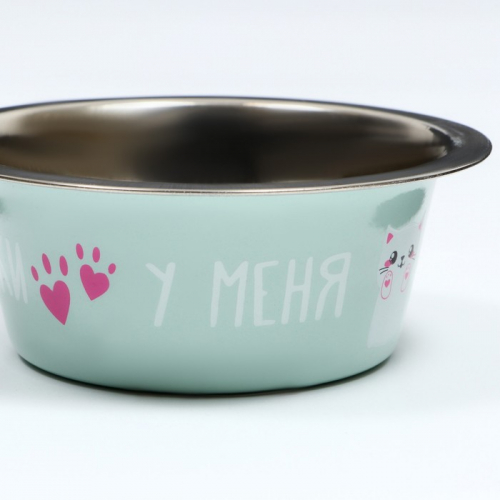 Миска стандартная 