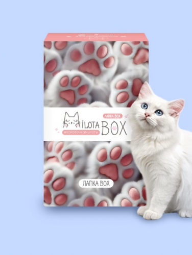 MilotaBox mini 