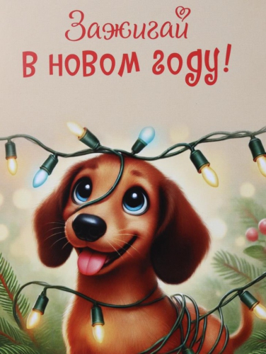 Скетчбук «Зажигай в новом году! Такса», 14х20 см,  плотность 100 гр