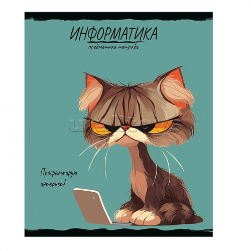 Тетрадь 48л. клетка, Информатика 