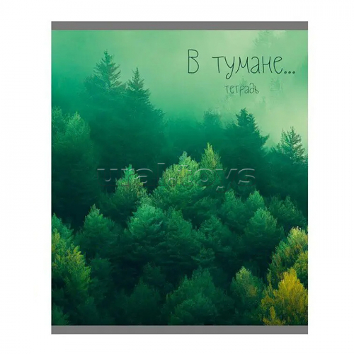 Тетрадь 48л. А5, клетка 