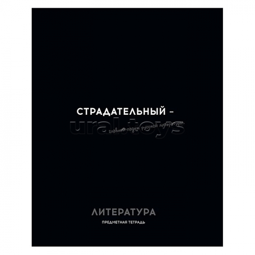 Тетрадь 48л. линия, Литература 