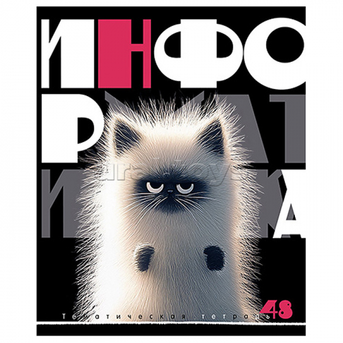 Тетрадь 48л., Информатика 