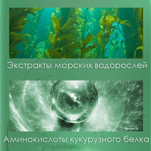 Пенка для умывания с морскими водорослями и аминокислотами Hankey,  БОЛЬШОЙ ОБЪЕМ 300 гр.