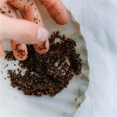 Скраб для тела, кофейный, натуральный «Грейпфрут и корица», 250 г