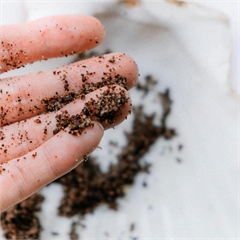 Скраб для тела, кофейный, натуральный «Кофе», 250 г