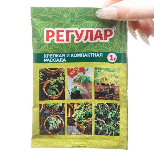 Регулар 1г (от перерастания) ВХ  х250