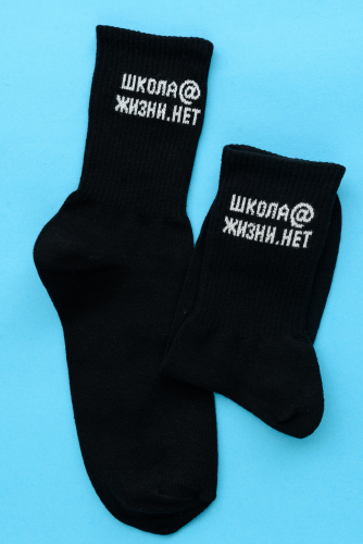 Носки мужские Школа (набор 2 пары)