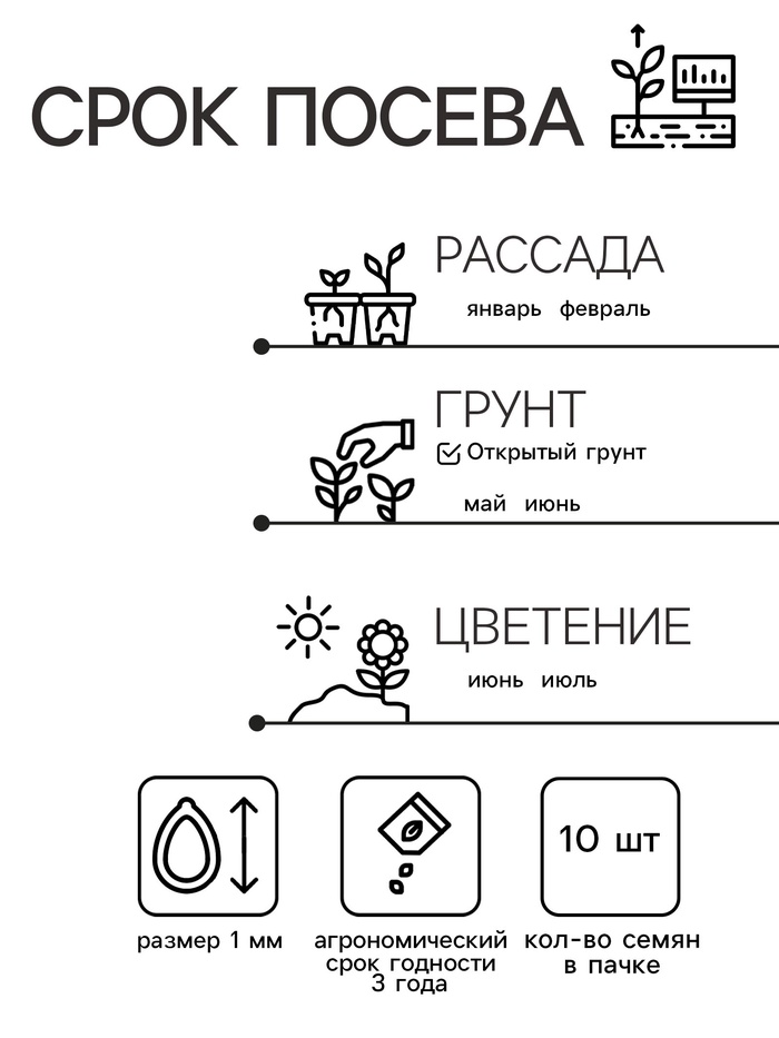 Семена Цветов Бегония крупноцветковая «Камелия», красная, 10 шт., «Дом семян»