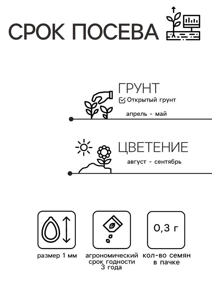 Семена цветов Лаватера
