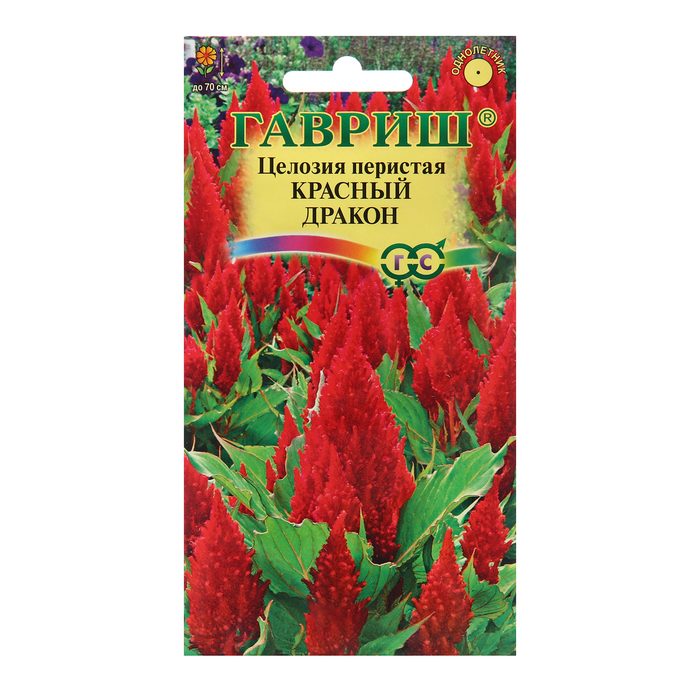 Семена Целозия