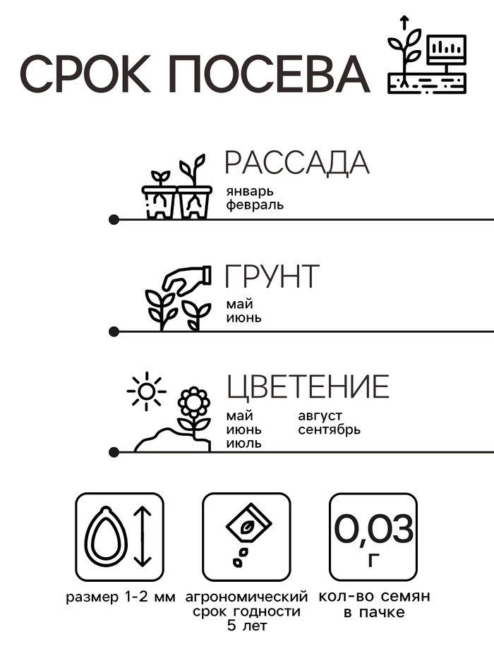 Семена цветов Пеларгония