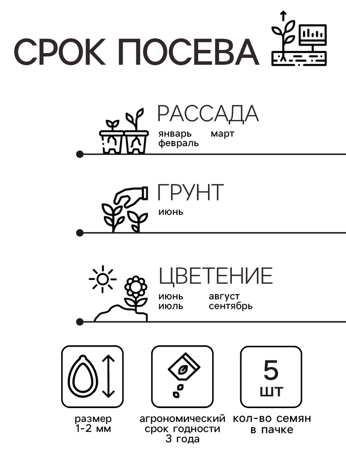 Семена комнатных цветов Пеларгония
