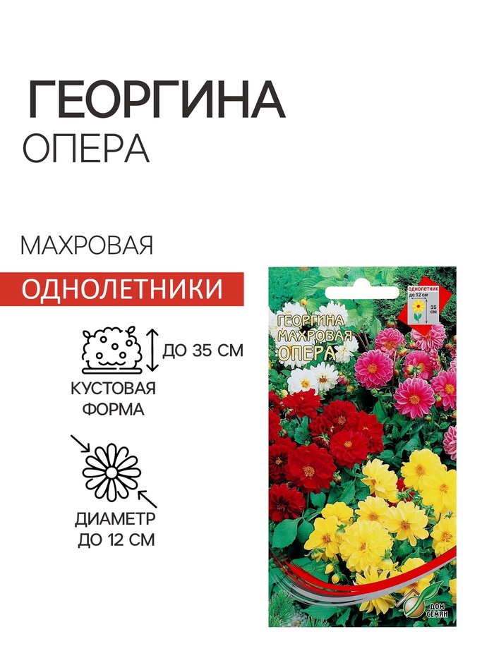 Семена цветов Георгина махровая