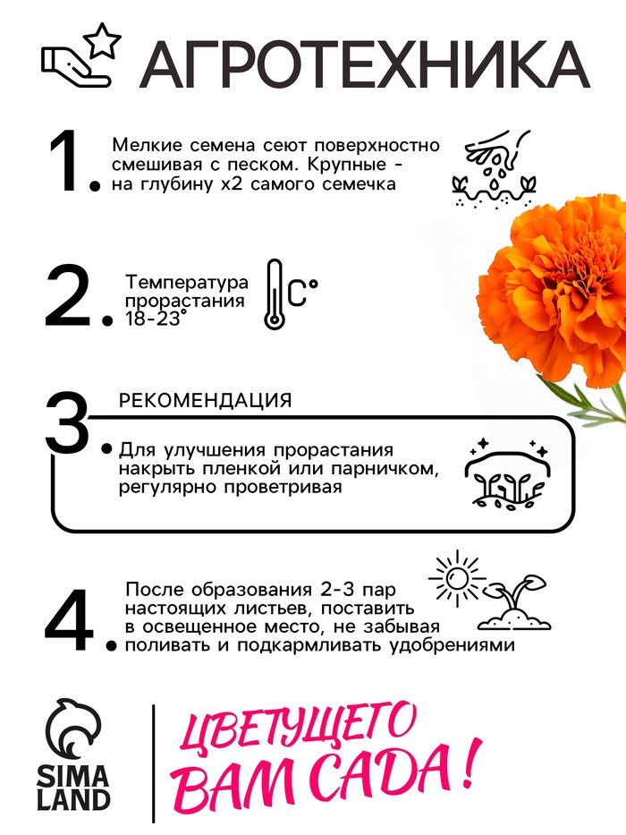 Семена цветов Бархатцы прямостоячие «Оранжевый принц», 0.3 г