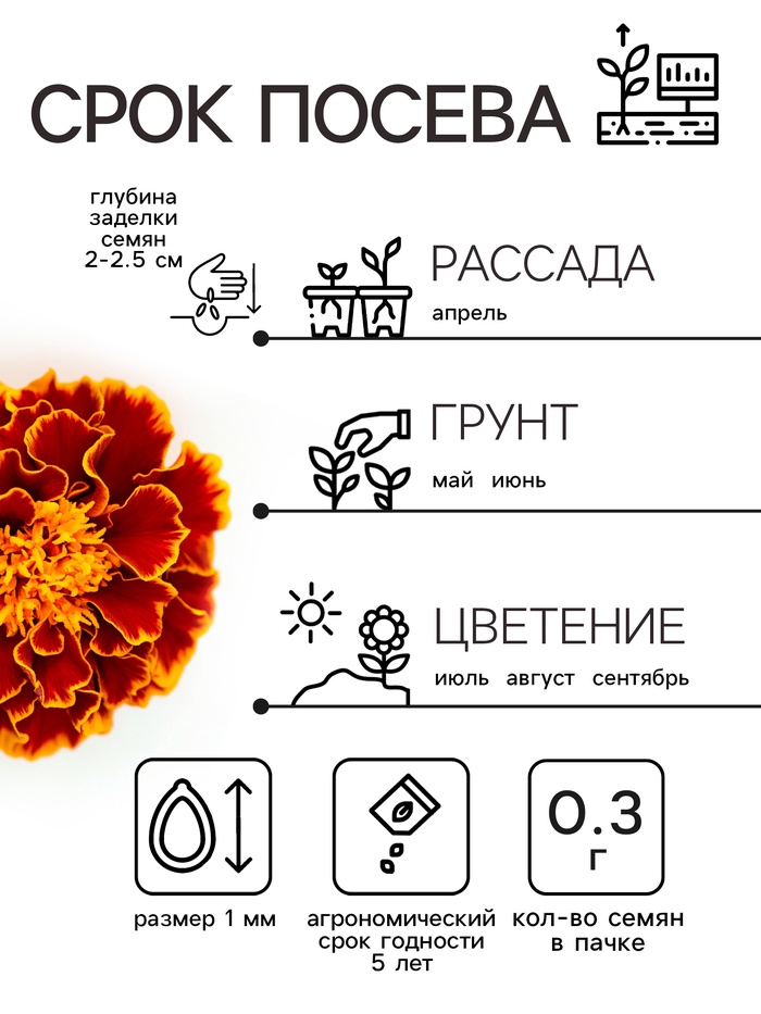 Семена цветов Бархатцы отклонённые