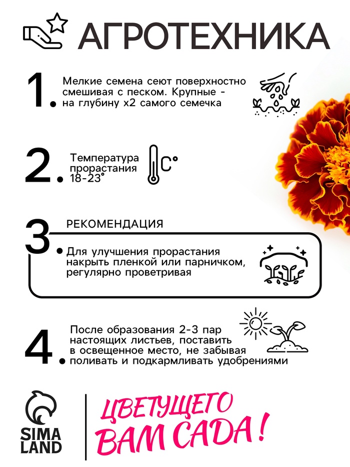 Семена цветов Бархатцы отклонённые