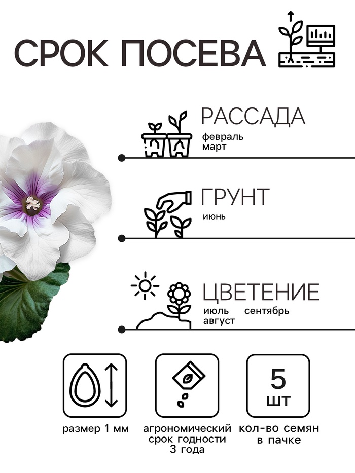 Семена комнатных цветов Глоксиния Аванти