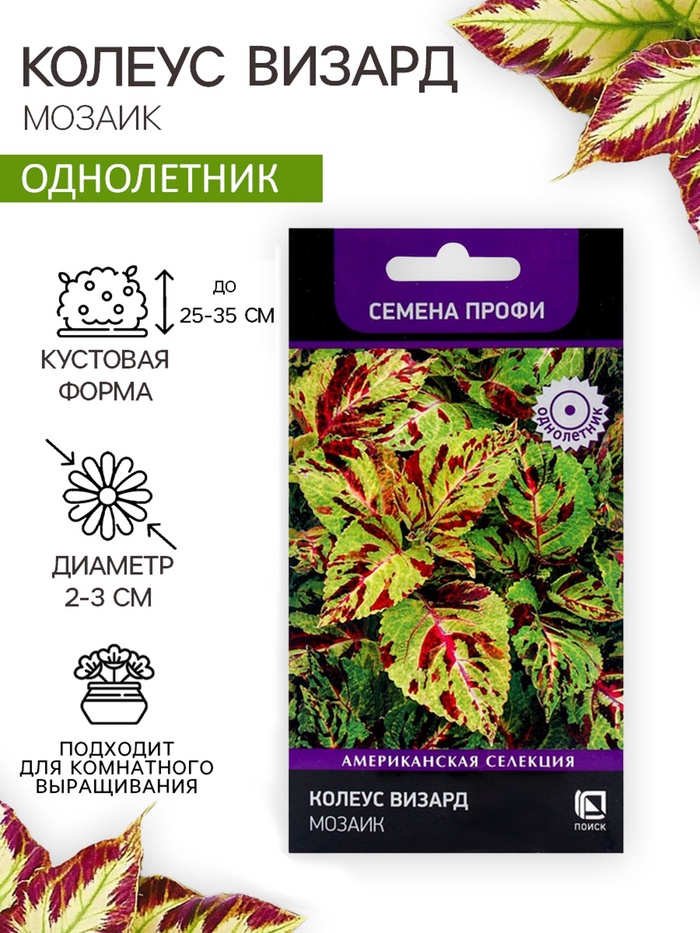 Семена цветов Колеус Визард Мозаик, 10шт