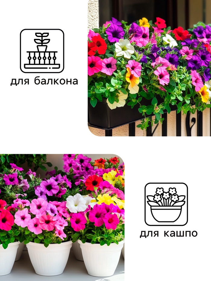 Семена цветов Петуния