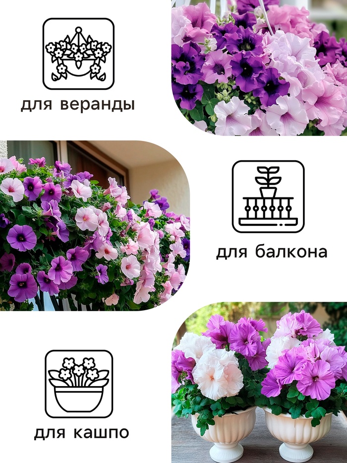 Семена цветов Петуния Махровая Каскадная Блю&Орхид F1, смесь, О, 8 шт