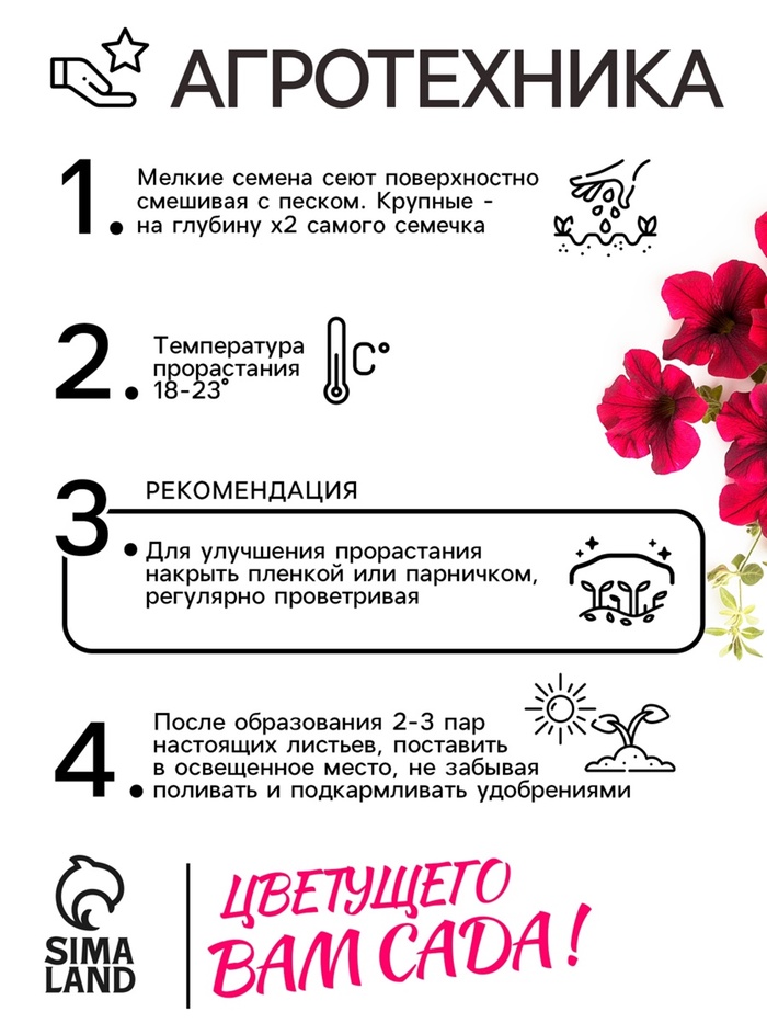Семена Цветов Петуния