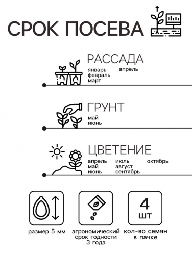 Семена цветов Пеларгония 