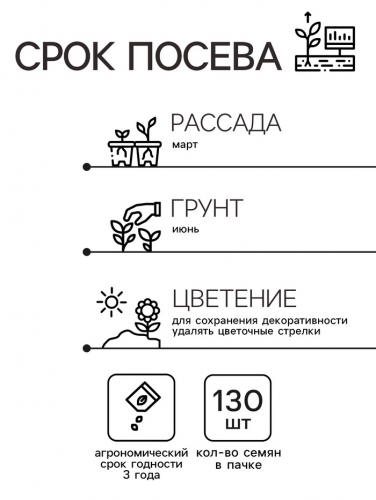 Семена комнатных цветов Колеус 