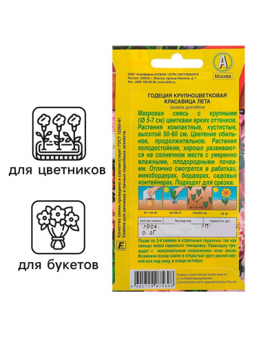 Семена  Петуния 