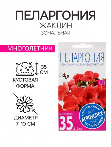 Семена цветов Пеларгония 