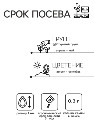 Семена цветов Лаватера 
