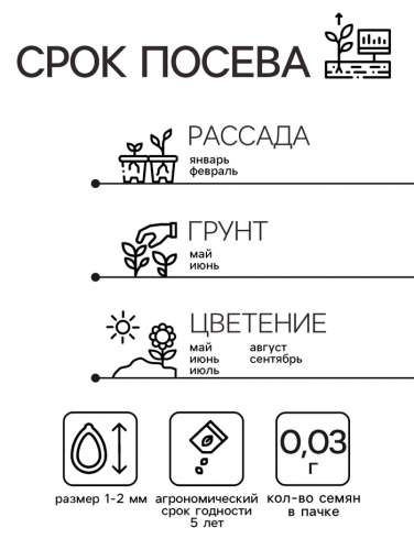 Семена цветов Пеларгония 