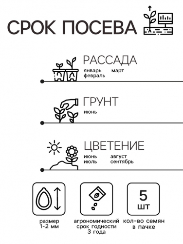 Семена комнатных цветов Пеларгония 