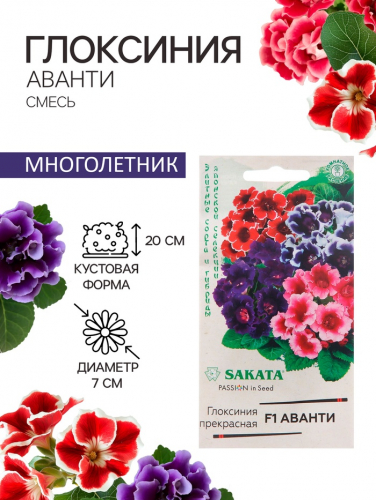 Семена комнатных цветов Глоксиния Аванти 