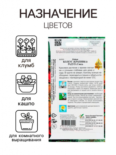 Семена комнатных цветов Колеус 