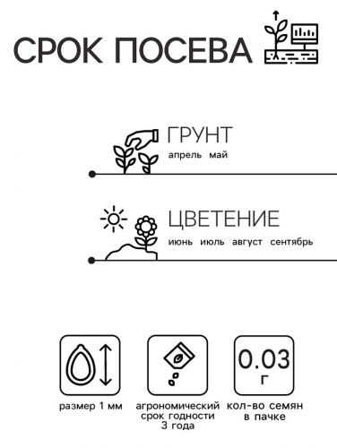 Семена  цветов Немезия 