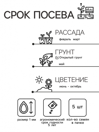 Семена цветов Петуния 