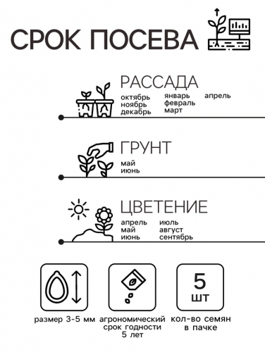 Семена цветов Пеларгония 