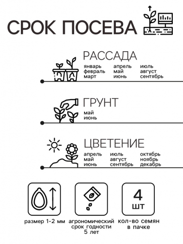 Семена цветов Пеларгония 