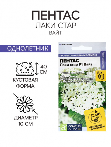 Семена цветов Пентас 
