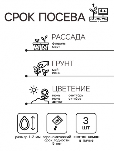 Семена цветов Пеларгония 