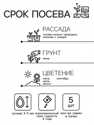 Семена цветов Пеларгония зональная Люстра микс, 5шт