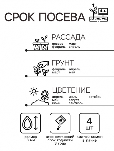 Семена комнатных цветов Пеларгония 