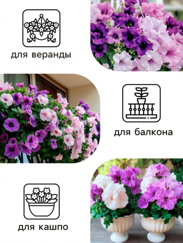 Семена цветов Петуния  Махровая Каскадная Блю&Орхид F1, смесь, О, 8 шт