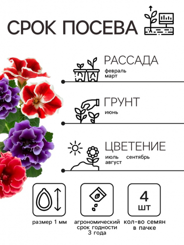 Семена комнатных цветов Глоксиния Аванти 