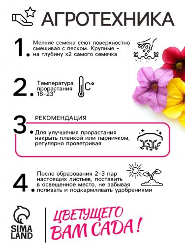 Семена цветов Петуния 