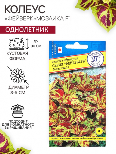 Семена цветов Колеус 