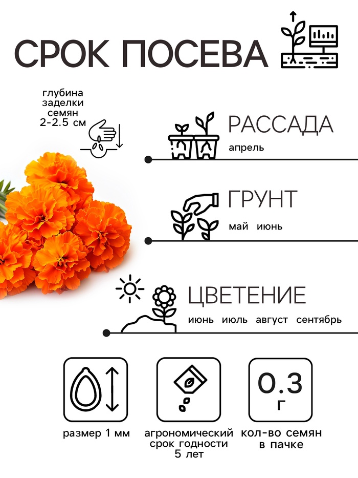Семена цветов Бархатцы прямостоячие «Оранжевый принц», 0.3 г